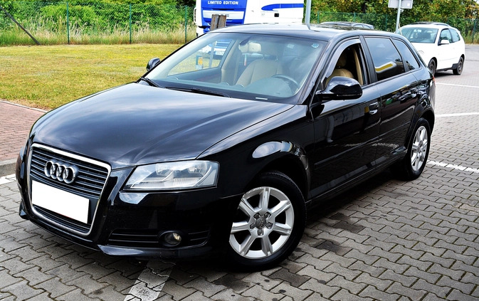 Audi A3 cena 26900 przebieg: 163000, rok produkcji 2008 z Dobrzany małe 191